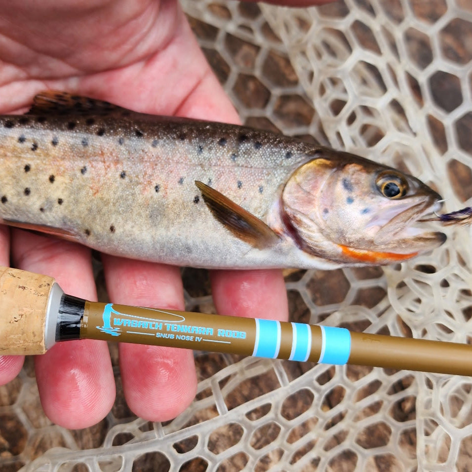 SNUB NOSE IV Ultra Compact Fishing Rod