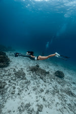 Navbow Dual-Motor Underwater Scooter