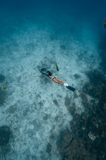 Navbow Dual-Motor Underwater Scooter