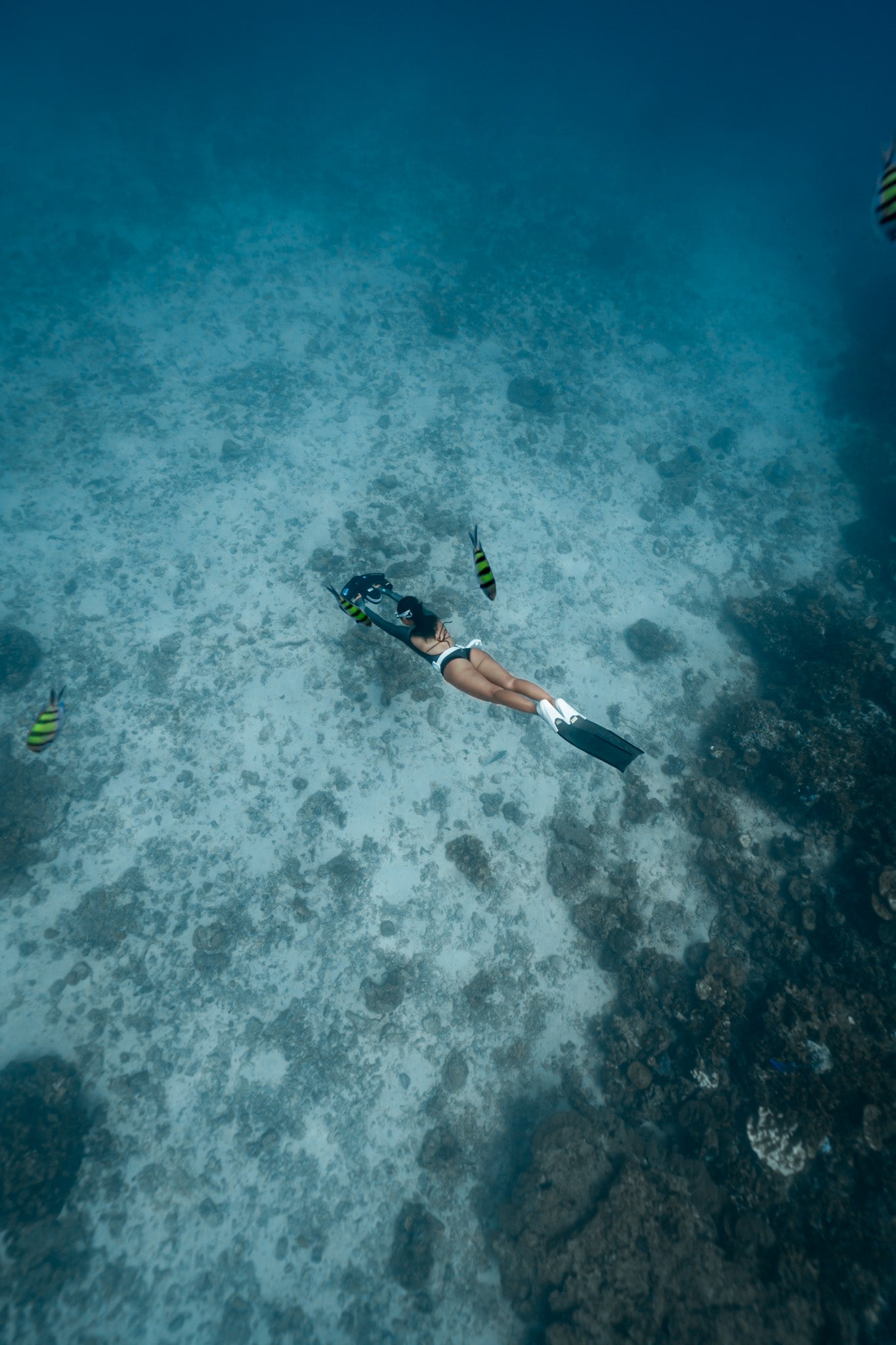 Navbow Dual-Motor Underwater Scooter
