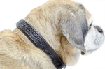Derby Dog Designer Series Tooled USA Leather Padded Barbwire Dog Collar W1"