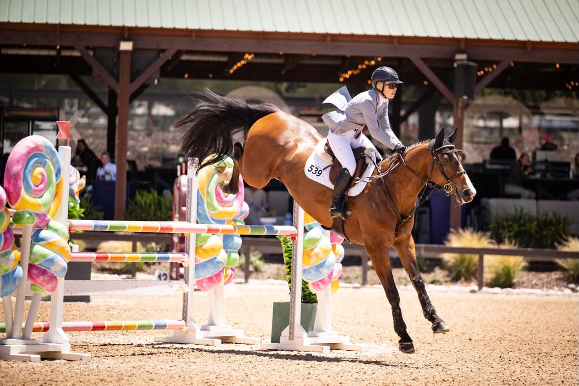 Grand Prix Ladies EQJ 3 Button Show Coat | NY Tech Fabric | Cadet Blue