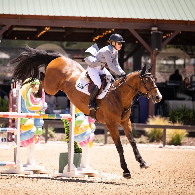 Grand Prix Ladies EQJ 3 Button Show Coat | NY Tech Fabric | Cadet Blue