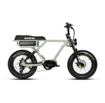 FLASH AWD 1.0 Dual Motor E-Bike | 2x750W