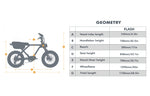 FLASH AWD 1.0 Dual Motor E-Bike | 2x750W