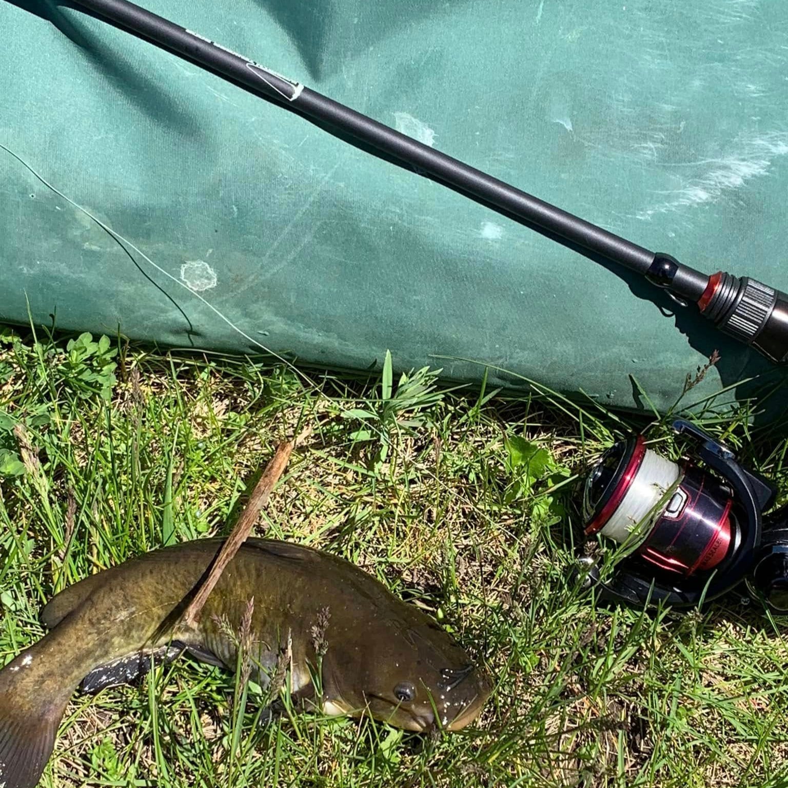 Command Force Spinning Rod