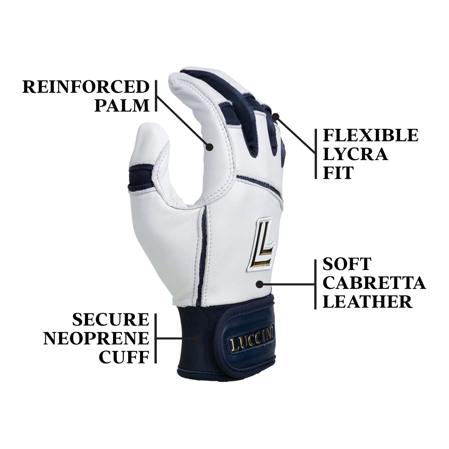 Legacy Series | White/Navy