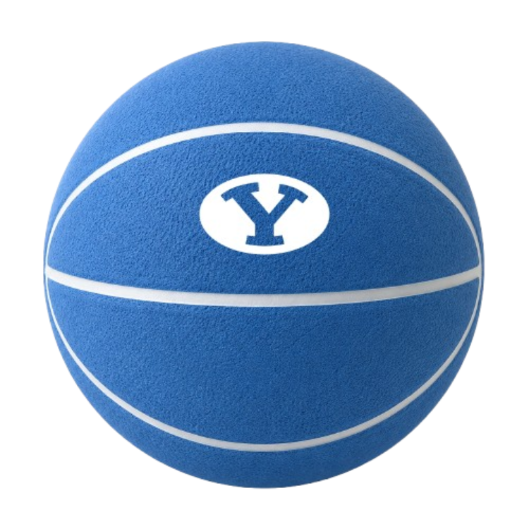 Color Splash QT BNZ Basketball