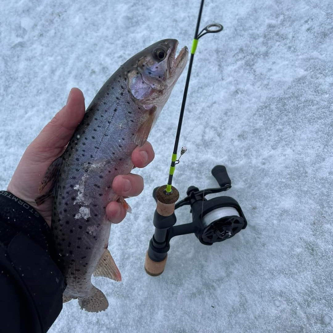 Ice Breaker Fishing Rod