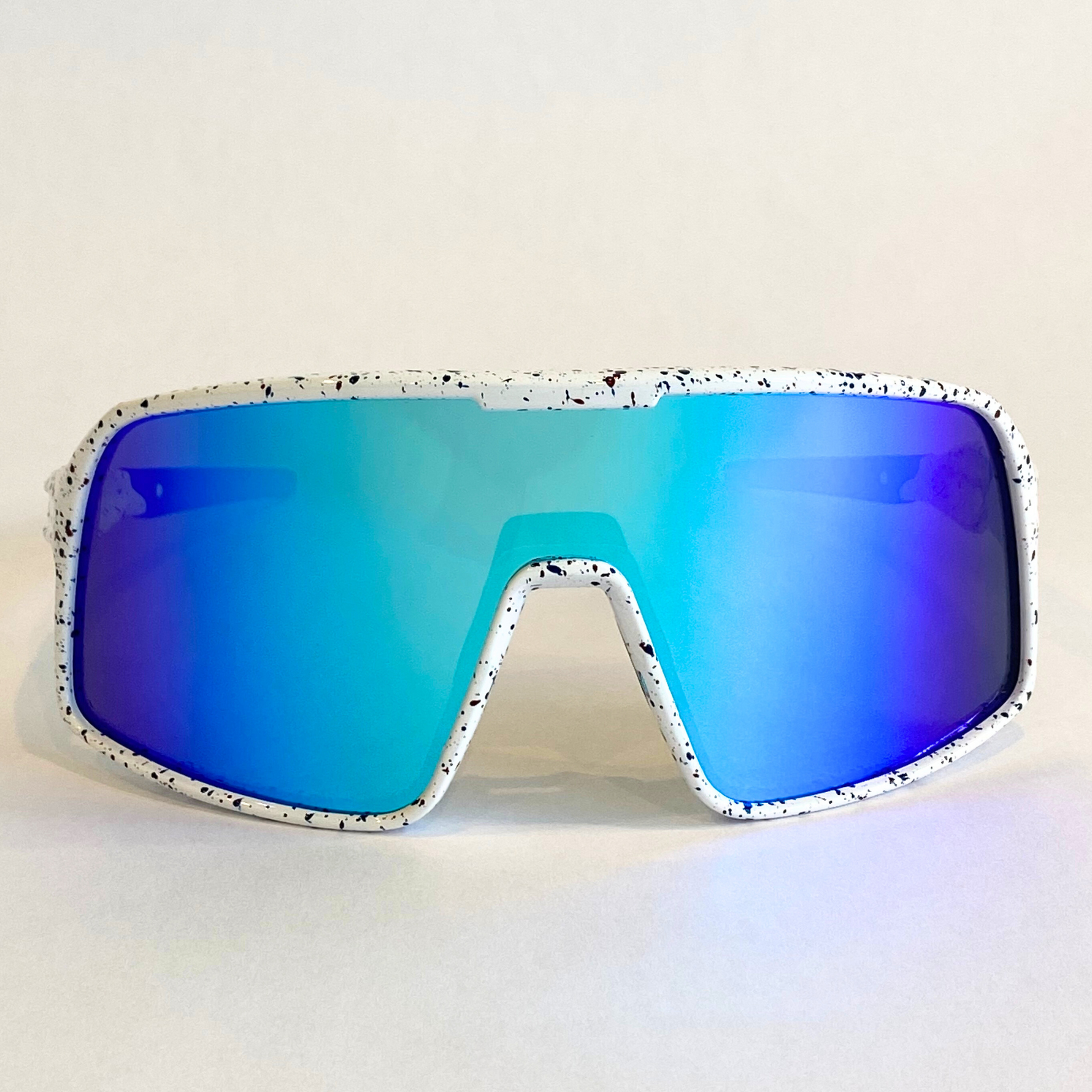 Flying Dog Snowstorm with Blue-Mirror Revo Lens