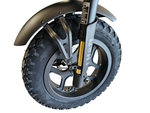 The Mini Goat