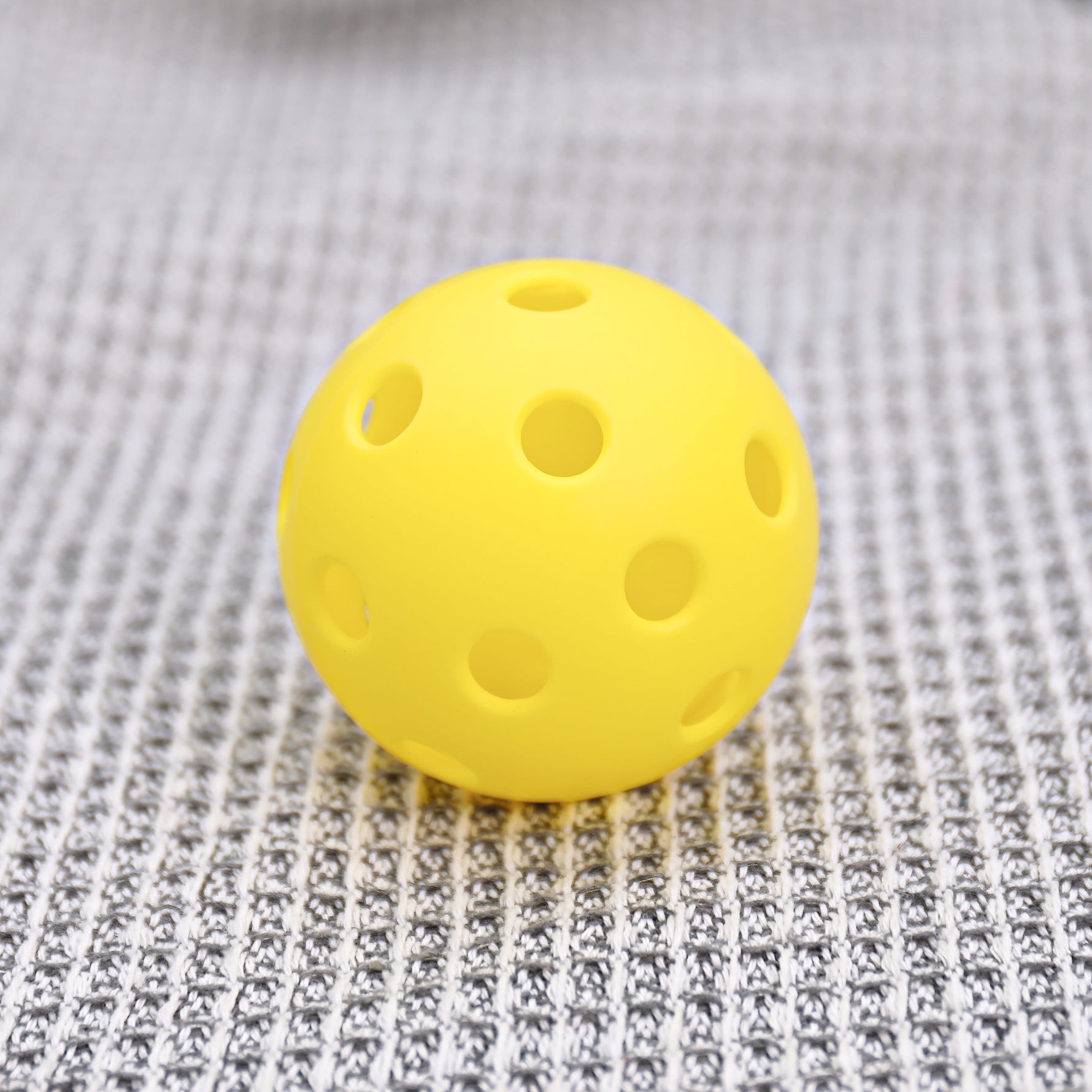ARTI Indoor Pickleball