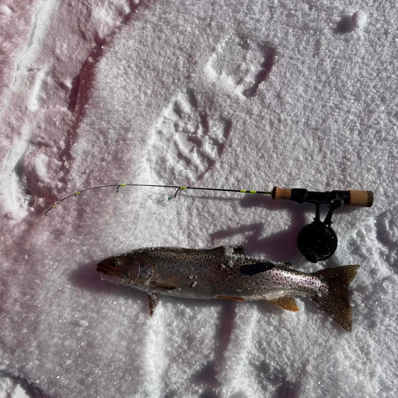 Ice Breaker Fishing Rod