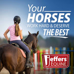 Jeffers Uniquely English Horse Tendon Boots | 2-Pack