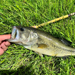 Hankyu Middle Fork Fishing Rod