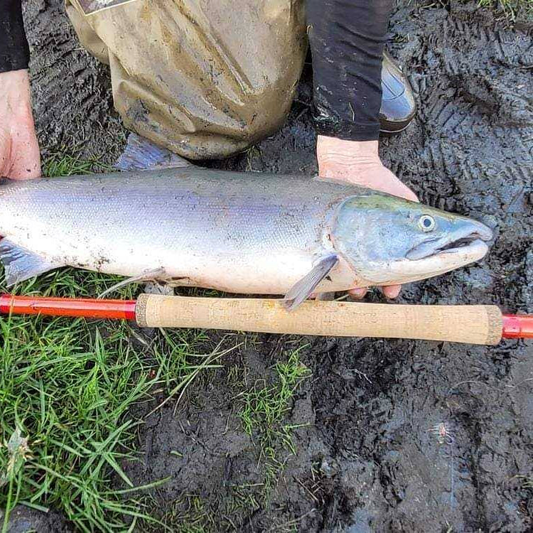 Phoenix Rising Tenkara Fishing Rod
