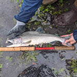 Phoenix Rising Tenkara Fishing Rod