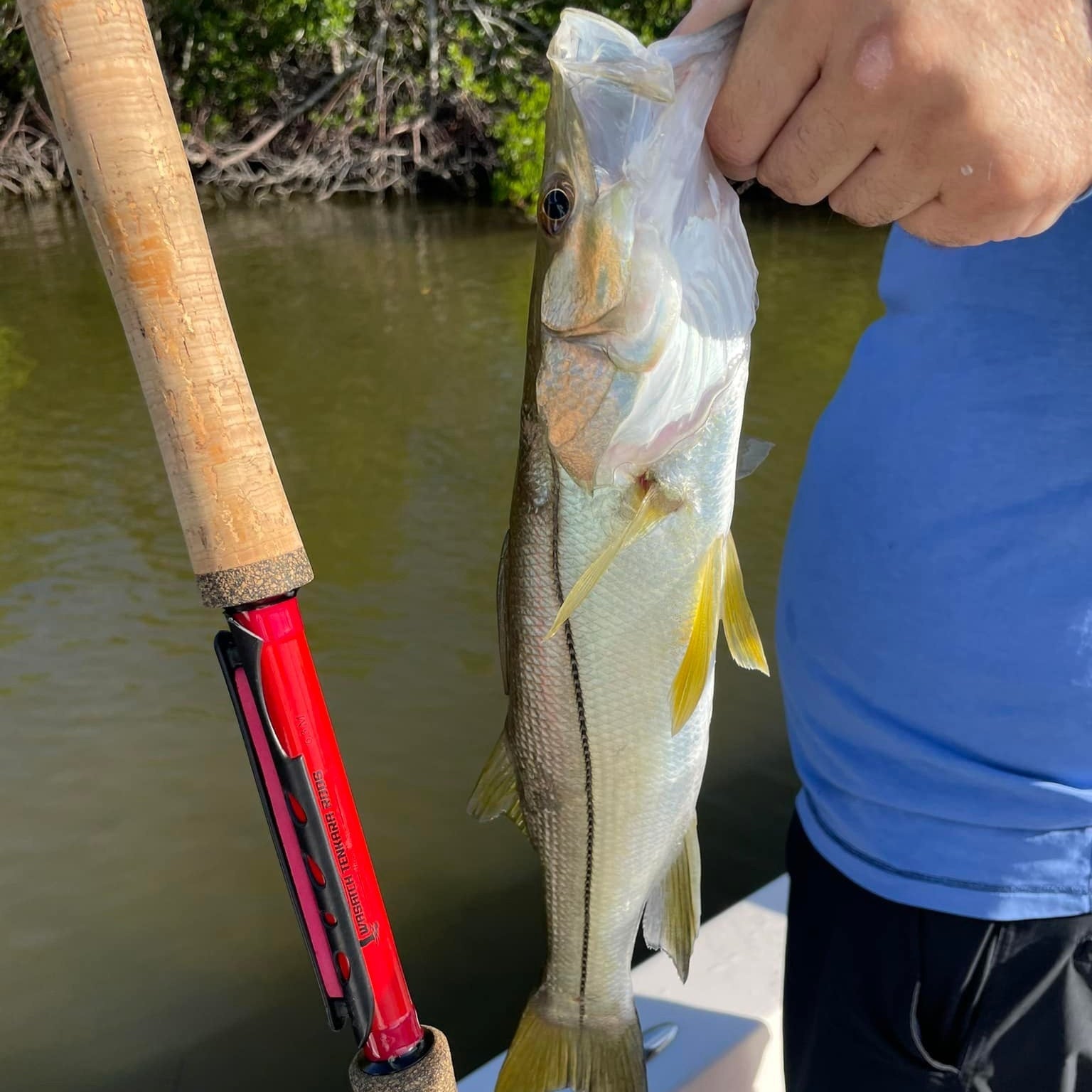 Phoenix Rising Tenkara Fishing Rod