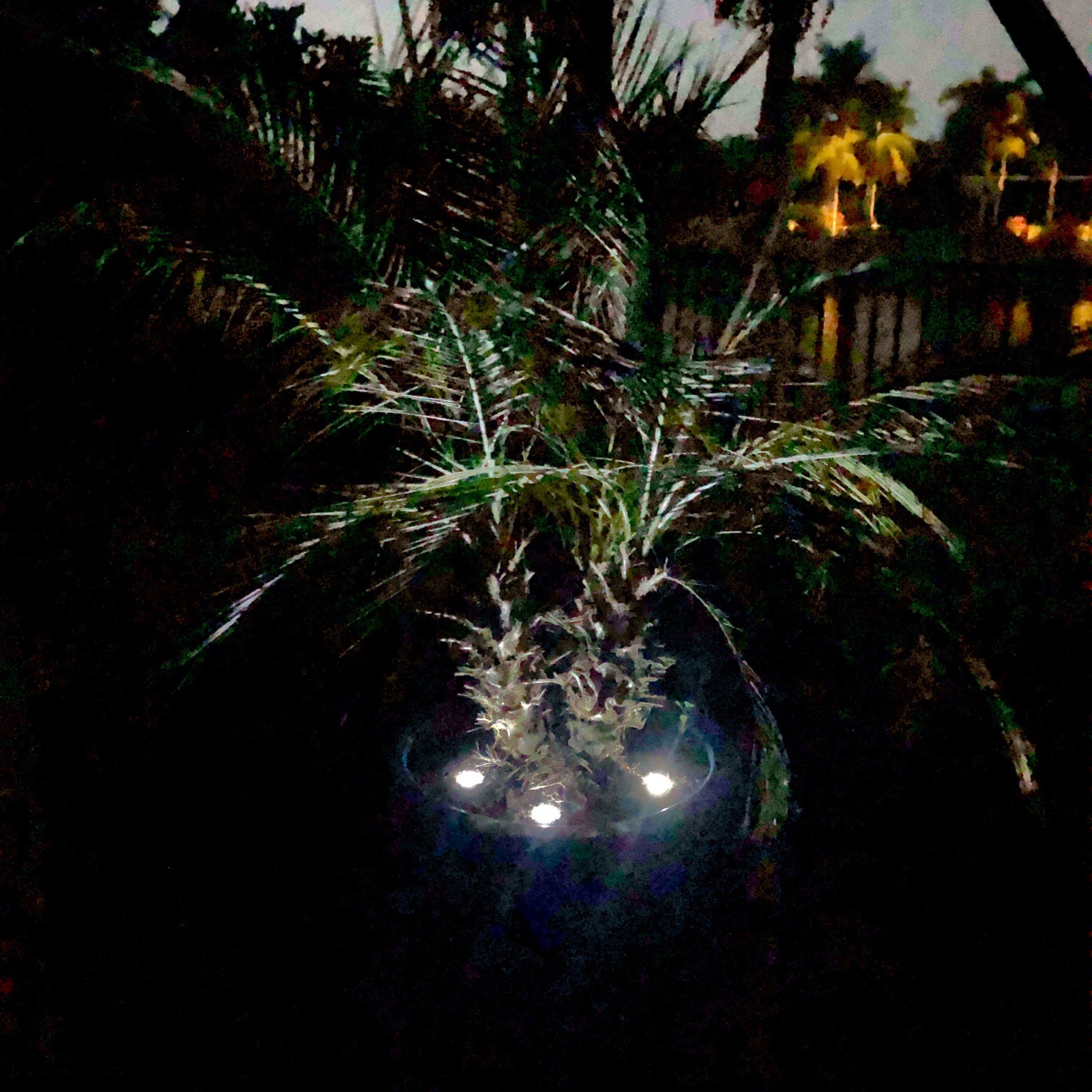 LED Dock & Deck Pods | Solar Powered Light Dots