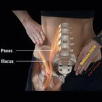 Orbit® 4" Muscle Therapy Ball