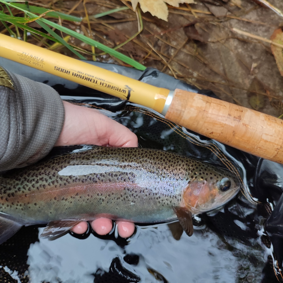 Hankyu Middle Fork Fishing Rod