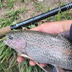 RodZilla Fishing Rod
