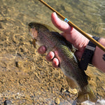 SNUB NOSE IV Ultra Compact Fishing Rod