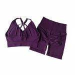 Women’s V-Back Sports Bra Set with High-Waist Shorts