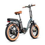 VTUVIA SF20H Utility Ebike