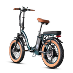 VTUVIA SF20H Utility Ebike
