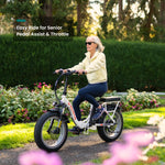VTUVIA SF20H Utility Ebike