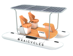 PRO Inflatable e-Boat (Made in EU)