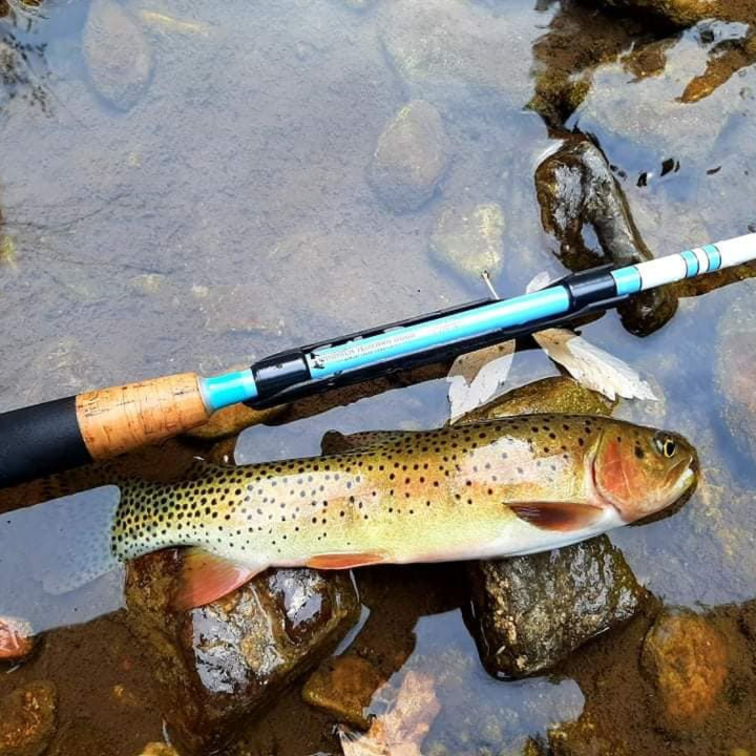 Maruki Sharpshooter Fishing Rod
