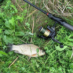 Command Force Spinning Rod
