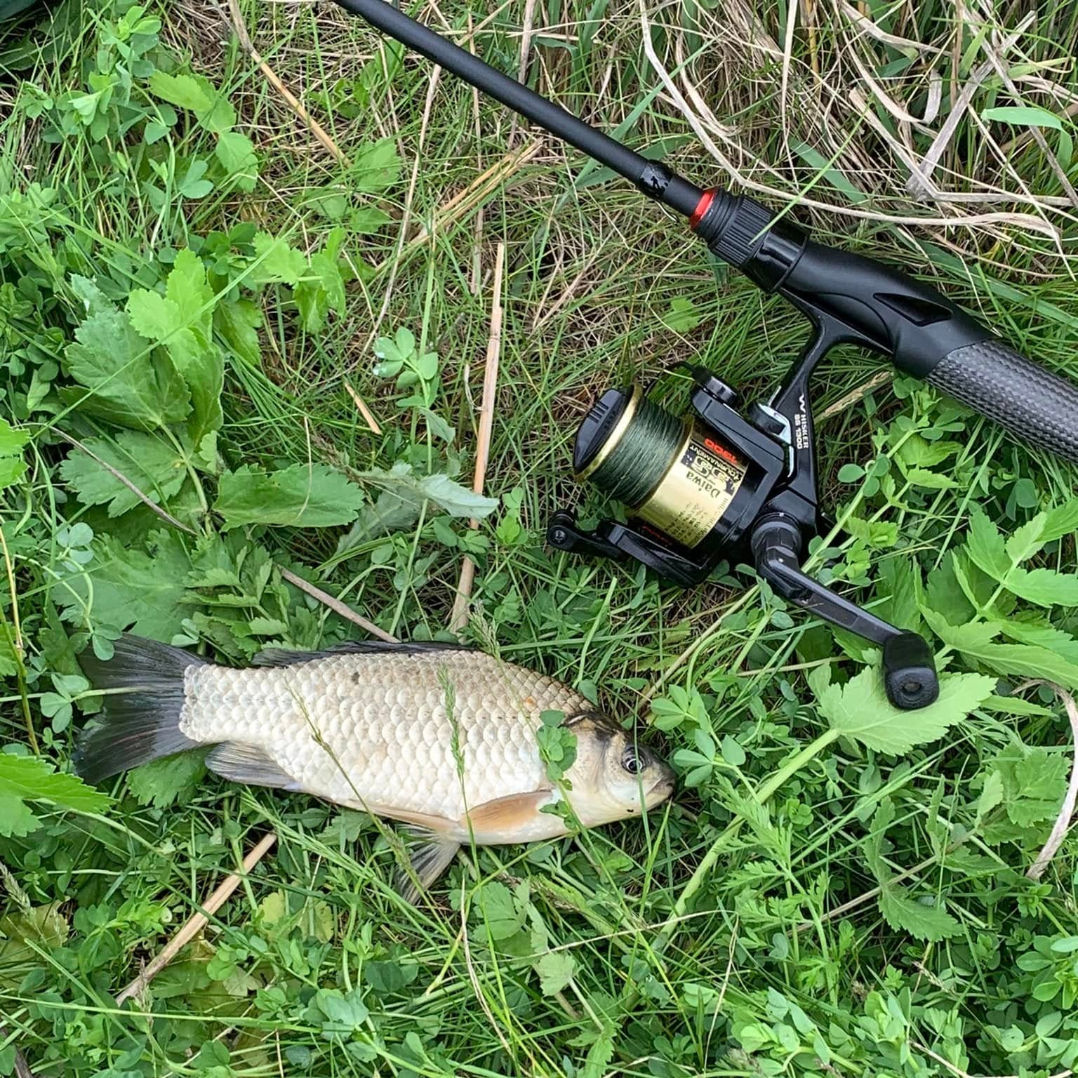 Command Force Spinning Rod