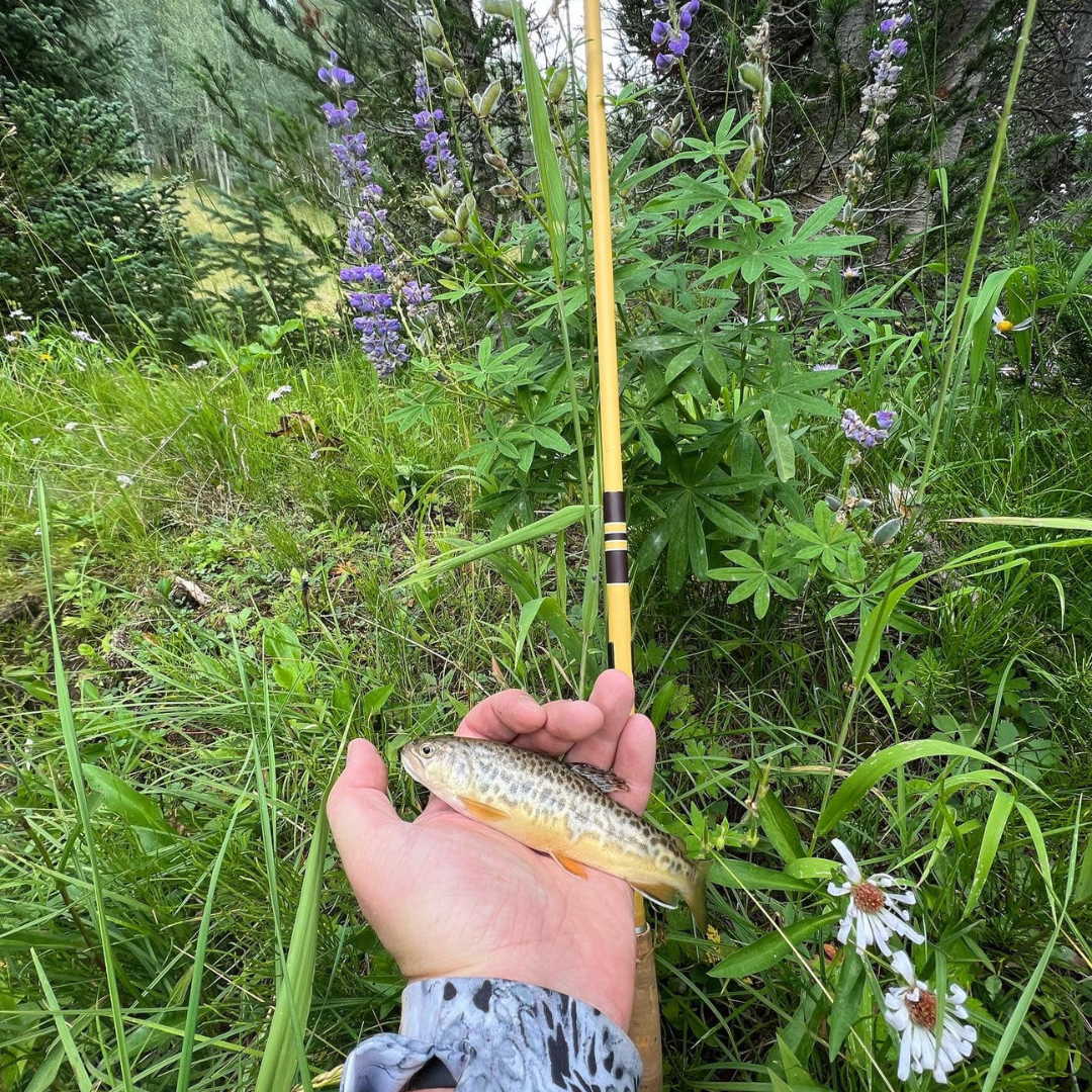 Hankyu Middle Fork Fishing Rod