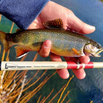 Daikyu T-Hunter Fishing Rod