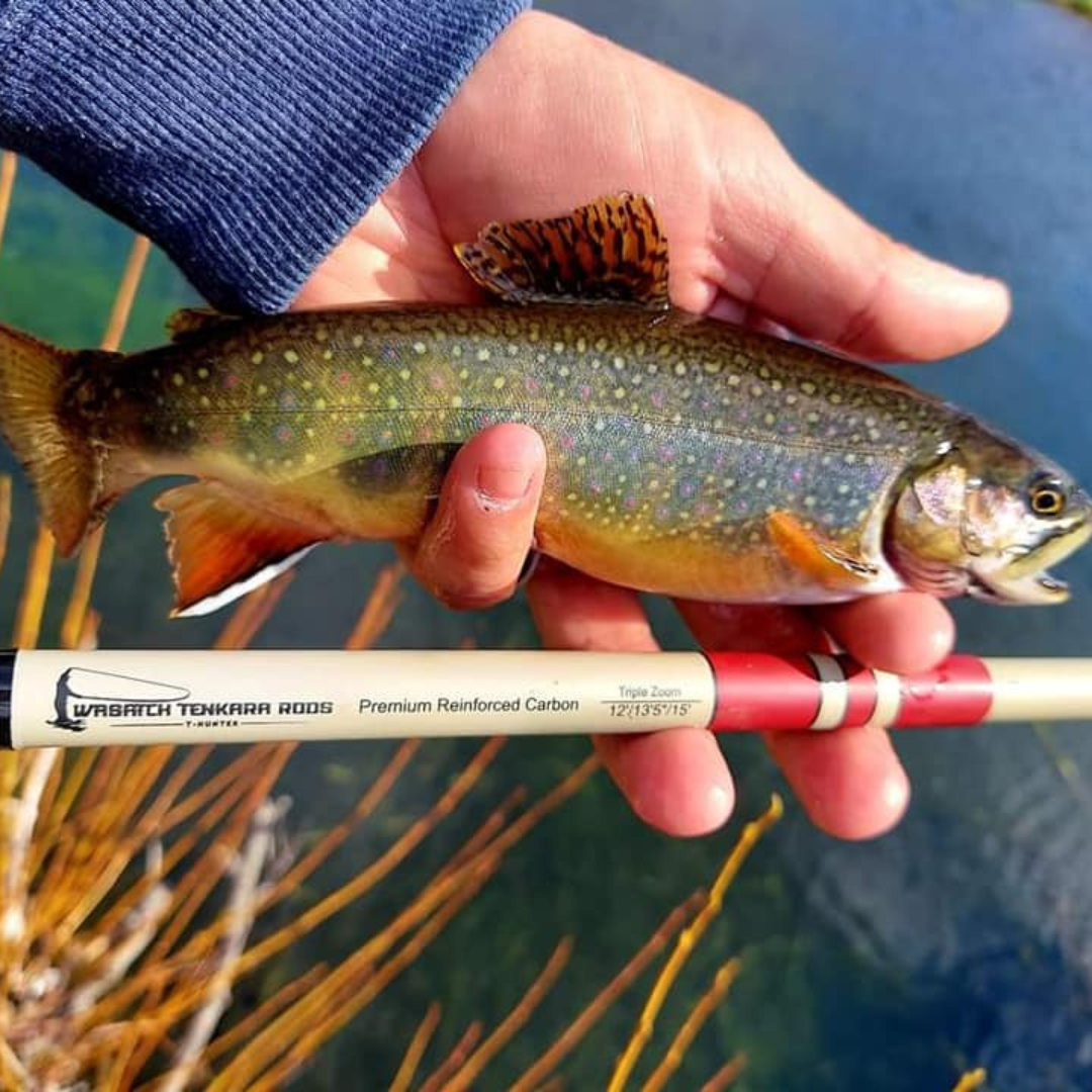 Daikyu T-Hunter Fishing Rod