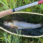 Daikyu T-Hunter Fishing Rod