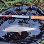Daikyu T-Hunter Fishing Rod