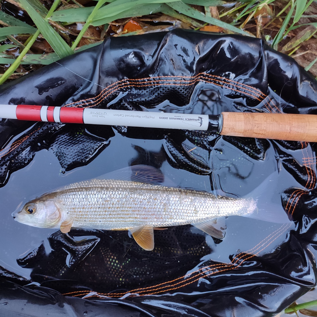 Daikyu T-Hunter Fishing Rod