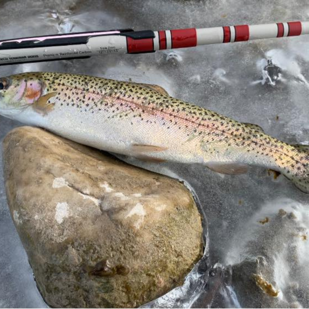 Daikyu T-Hunter Fishing Rod