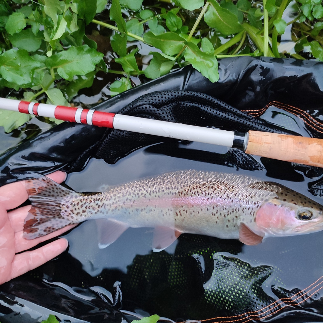 Daikyu T-Hunter Fishing Rod