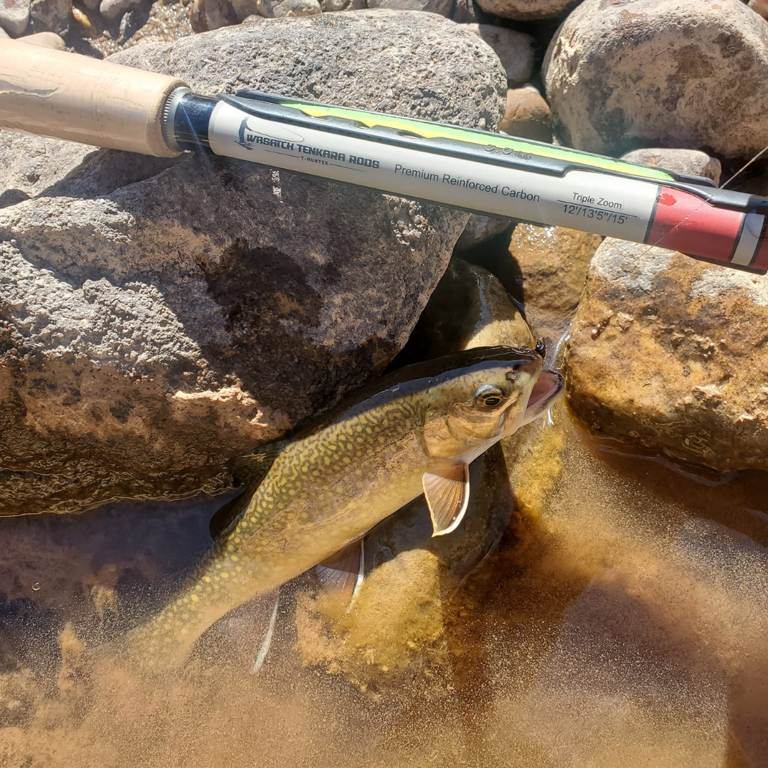 Daikyu T-Hunter Fishing Rod