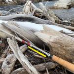 Daikyu T-Hunter Fishing Rod