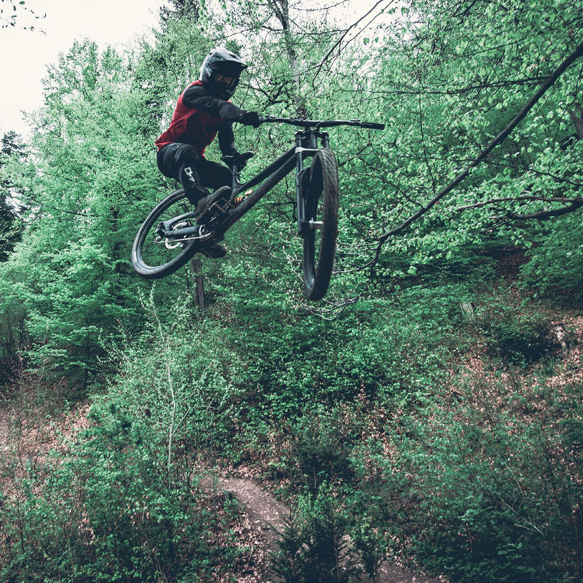 TSG Sentinel Helmet | Full Face Downhill MTB