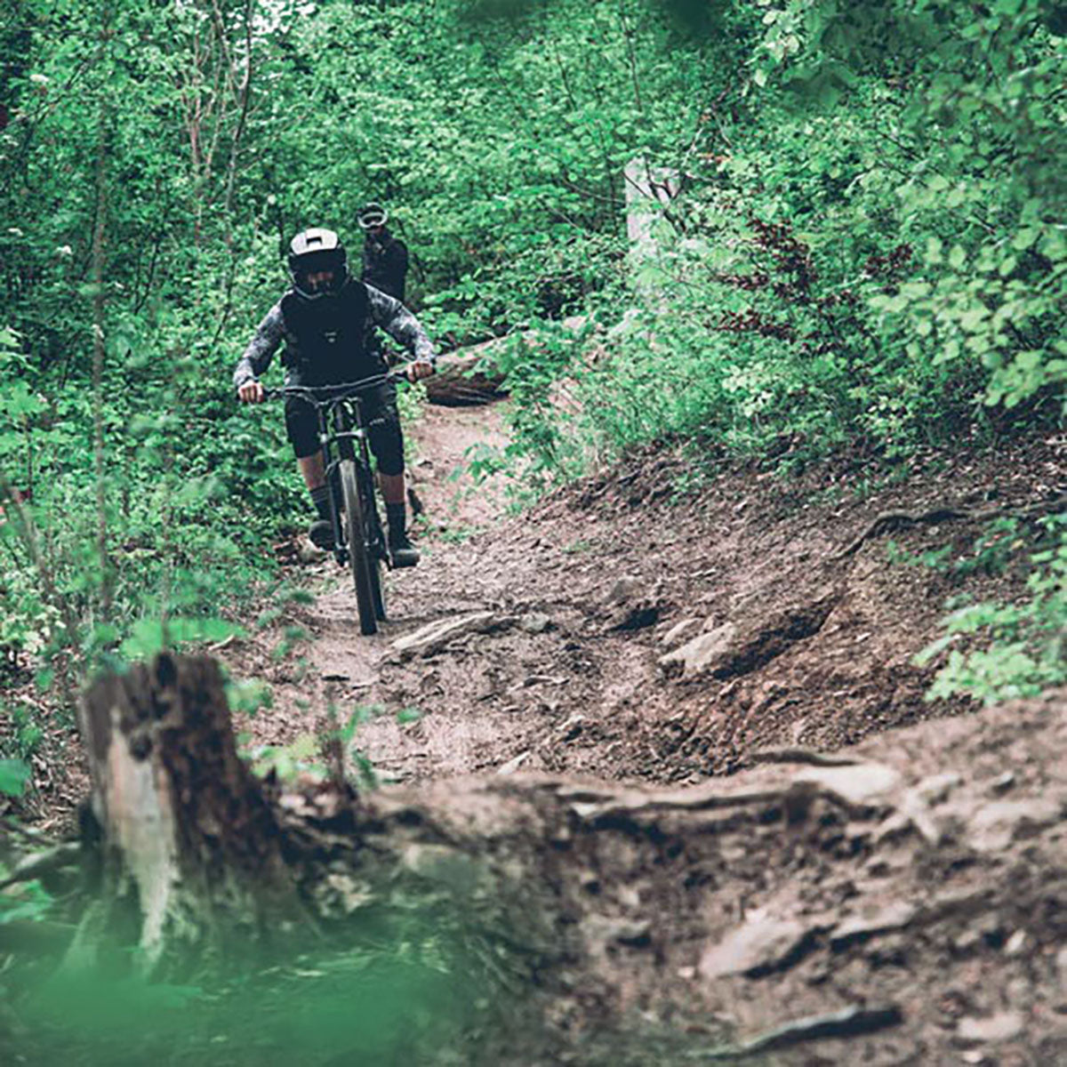 TSG Sentinel Helmet | Full Face Downhill MTB