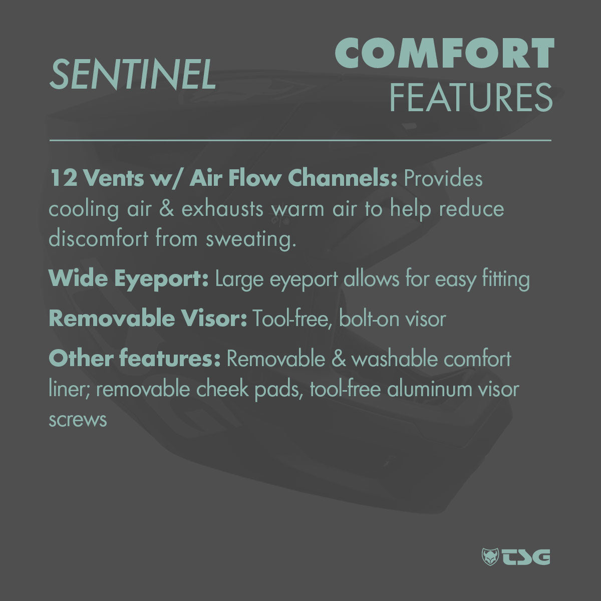 TSG Sentinel Helmet | Full Face Downhill MTB
