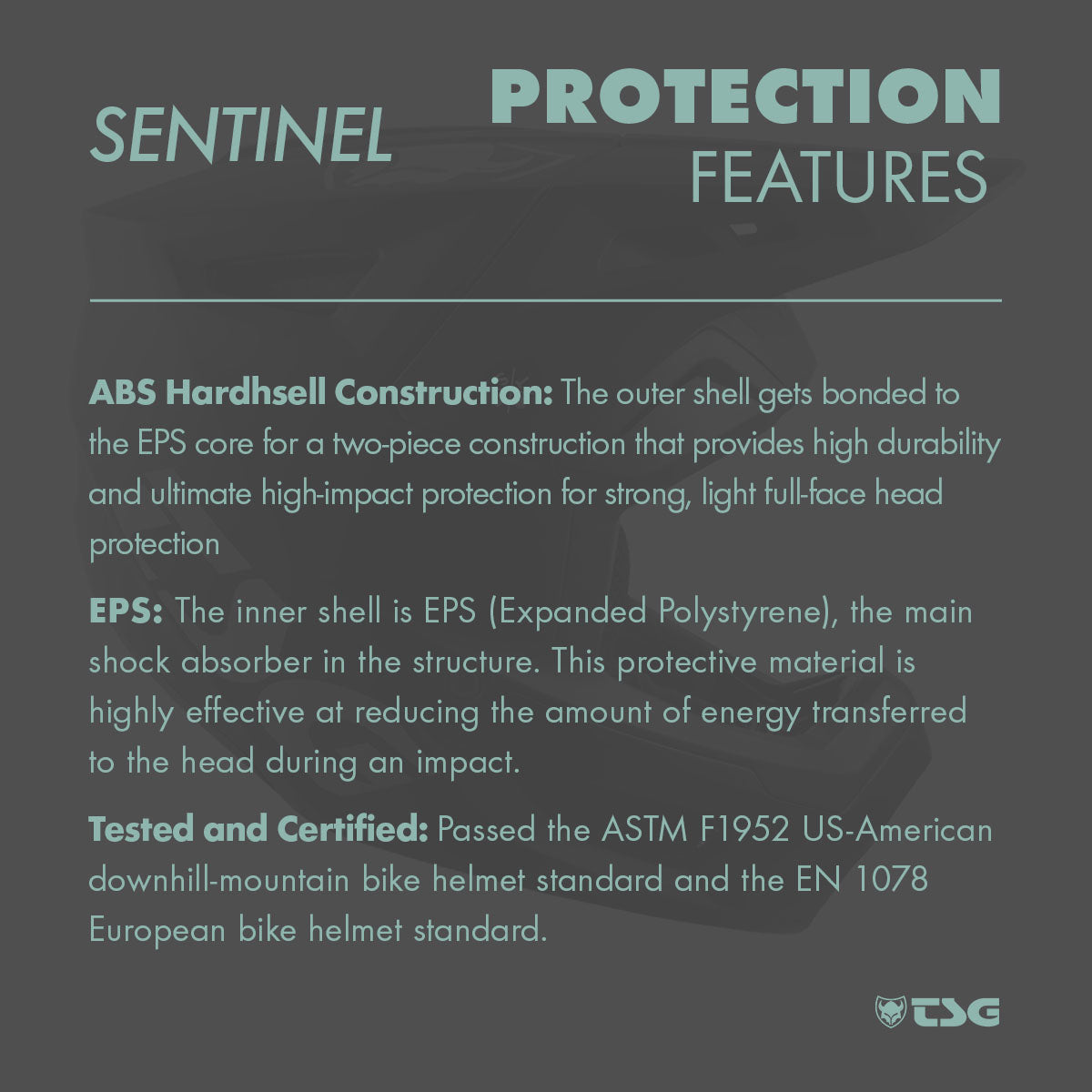 TSG Sentinel Helmet | Full Face Downhill MTB