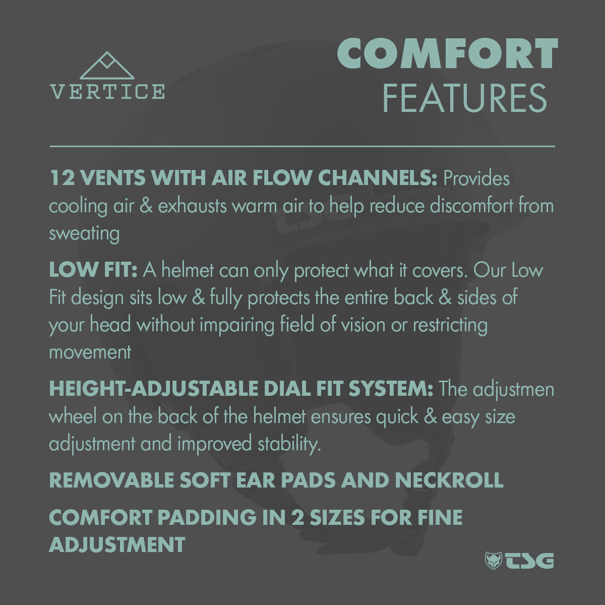 TSG Ski/Snowboard Helmet | Vertice